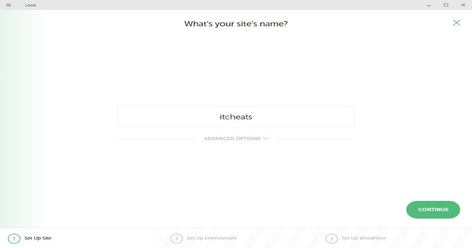 LocalWP Installation Process - Write down the Website name